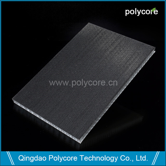 Polycore LITPan 비계 검은 피부